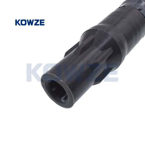 big_21343_1492404_6709