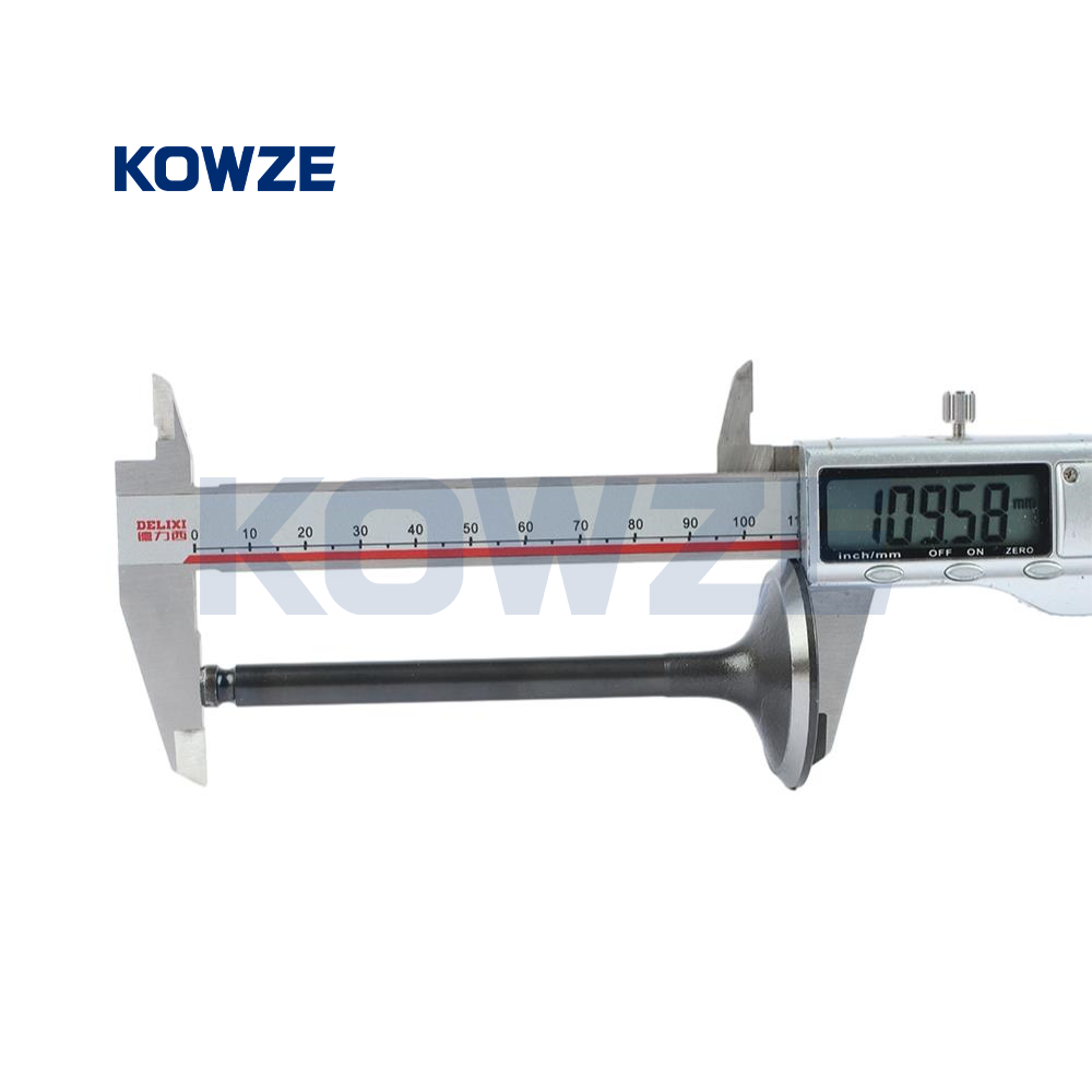 big_2577_1925345_4830