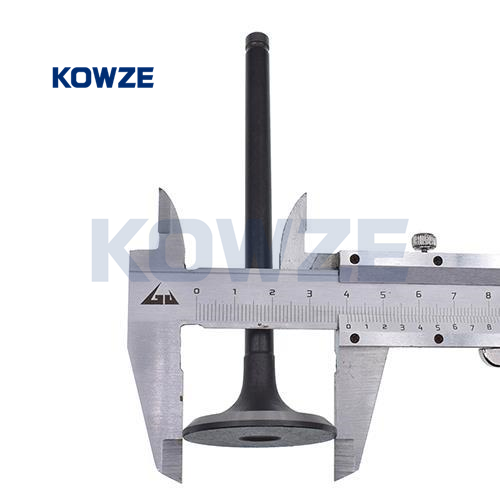 big_2585_1925427_0096