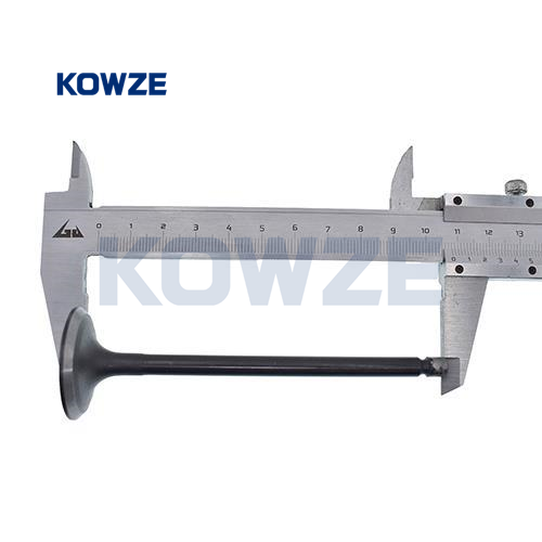 big_2587_1925475_7290