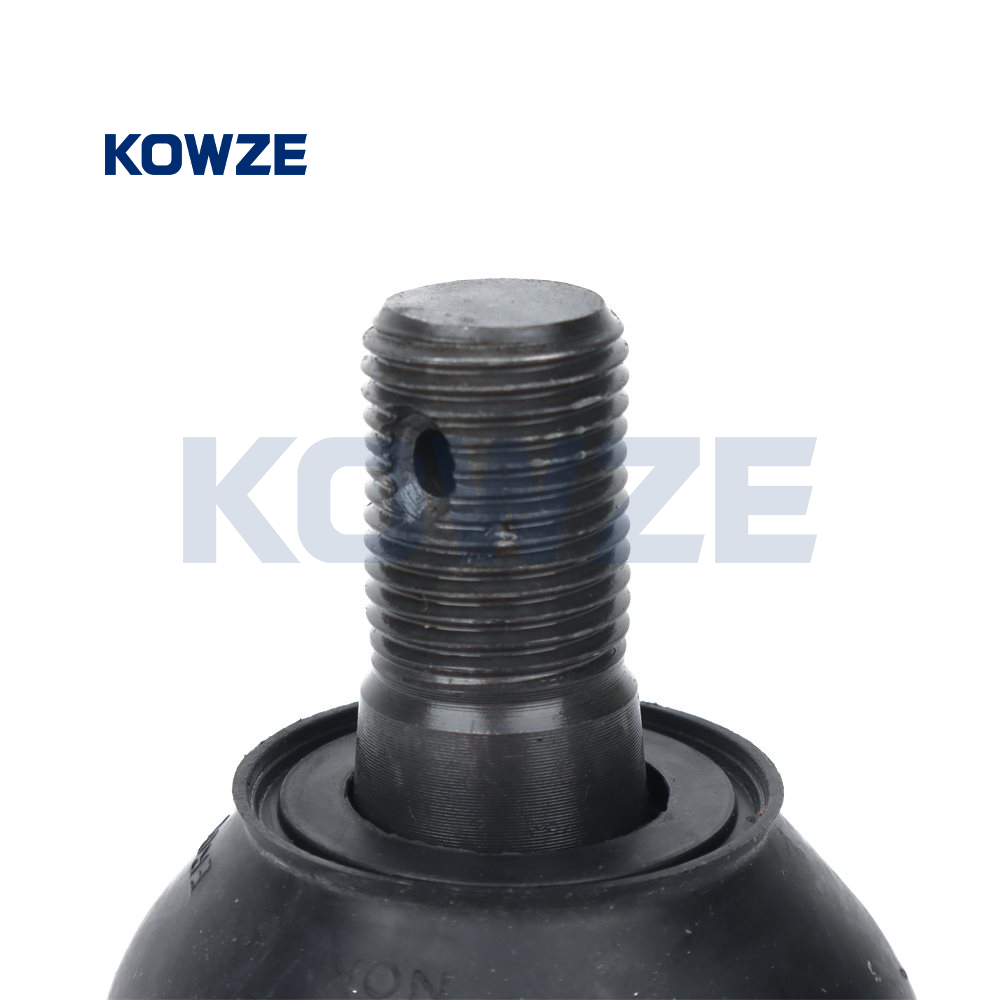 big_26278_1528439_6692