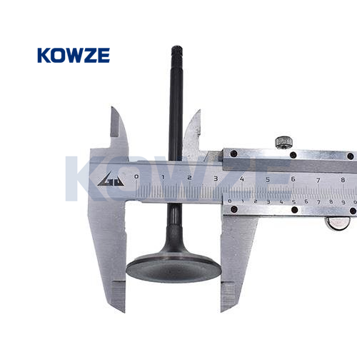 big_29761_1563750_0135