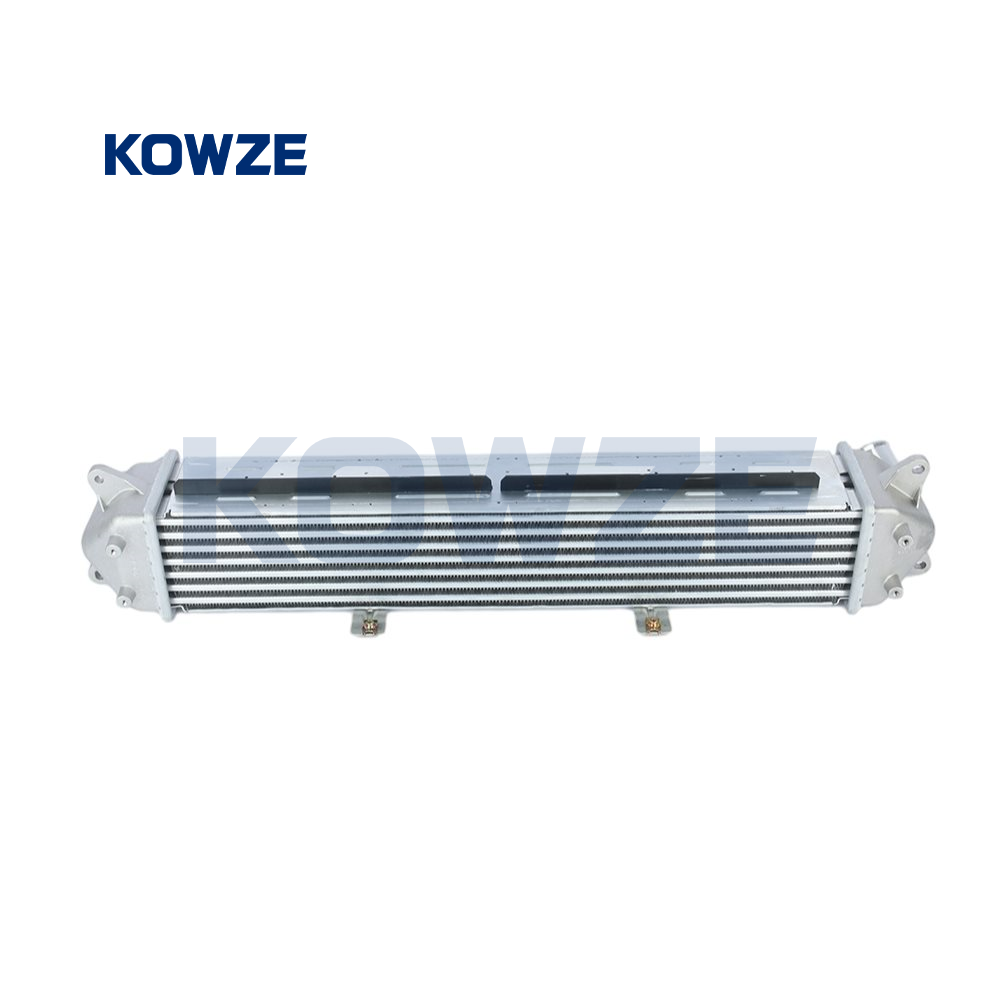 बड़ा_40452_1704218_6189