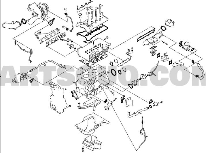 big_665415030239302_1884185_3077
